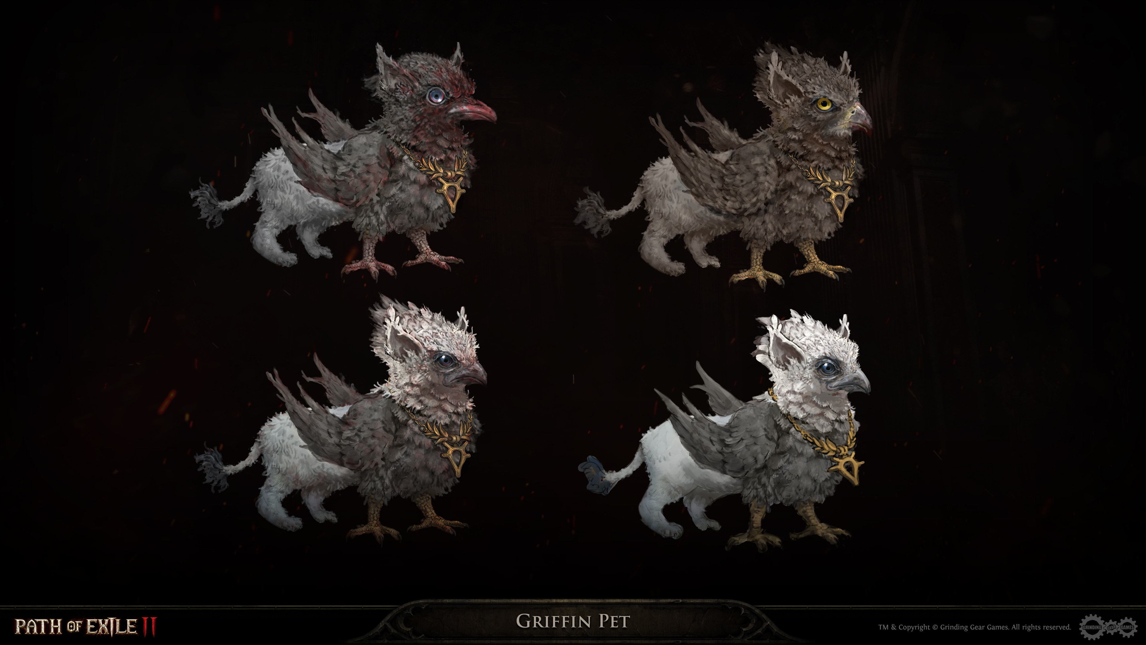 Griffin Fledgling Pet